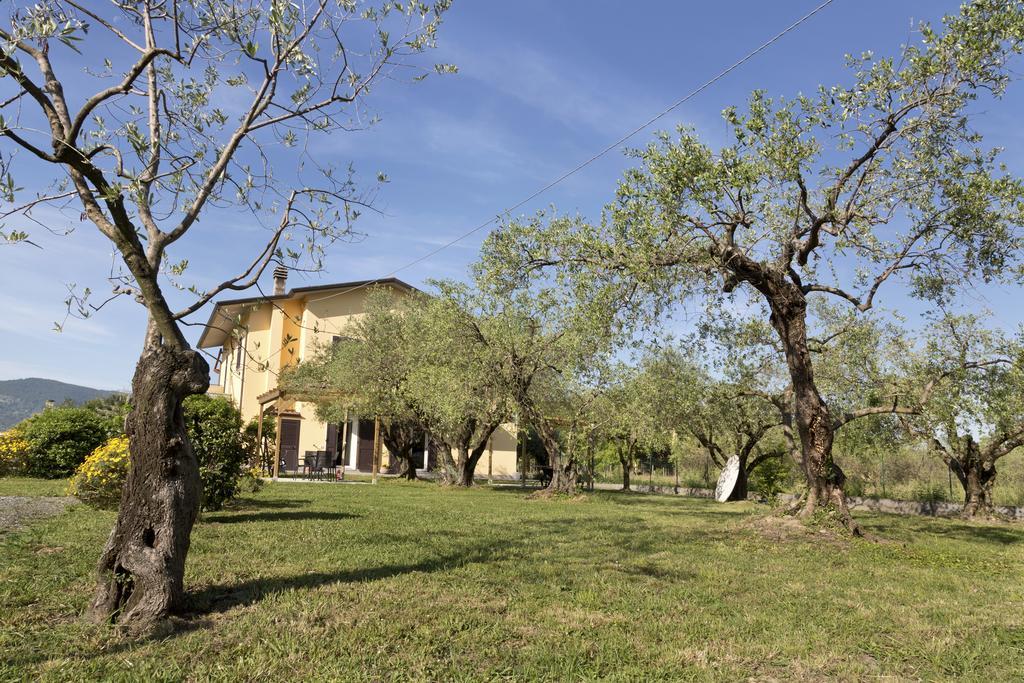 L'Ortobio Villa ซาร์ซานา ภายนอก รูปภาพ